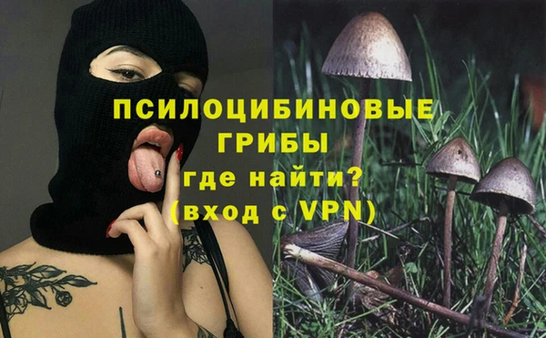 а пвп мука Армянск